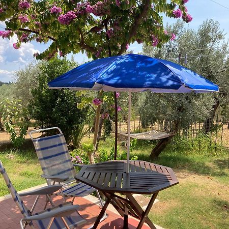 Casa Sisu-Appartamento Immerso Negli Ulivi SantʼElia Fiumerapido Zewnętrze zdjęcie