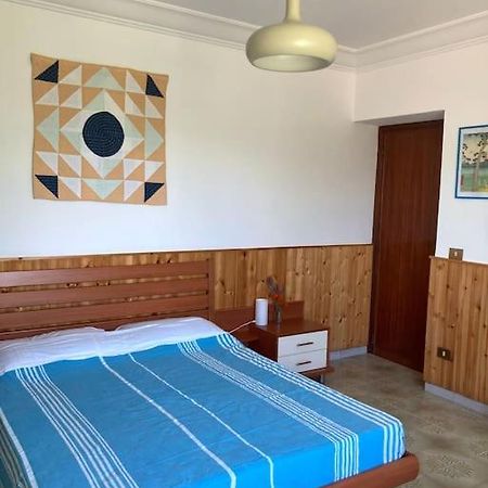 Casa Sisu-Appartamento Immerso Negli Ulivi SantʼElia Fiumerapido Zewnętrze zdjęcie