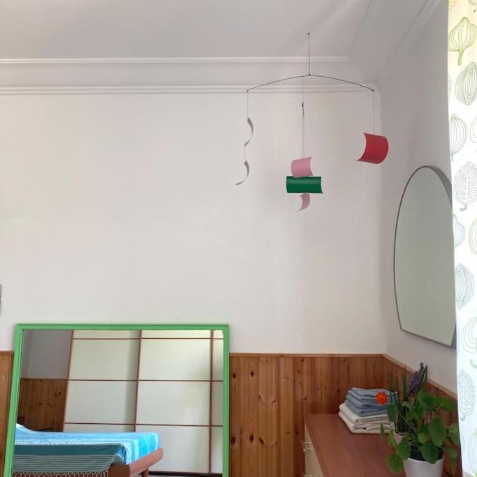 Casa Sisu-Appartamento Immerso Negli Ulivi SantʼElia Fiumerapido Zewnętrze zdjęcie