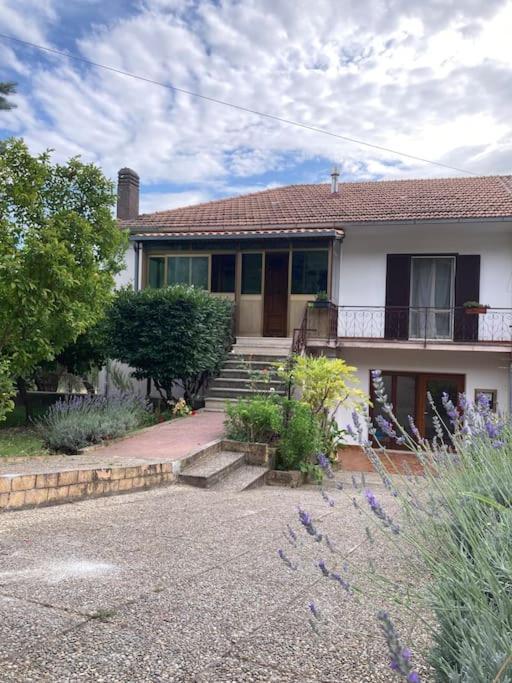 Casa Sisu-Appartamento Immerso Negli Ulivi SantʼElia Fiumerapido Zewnętrze zdjęcie
