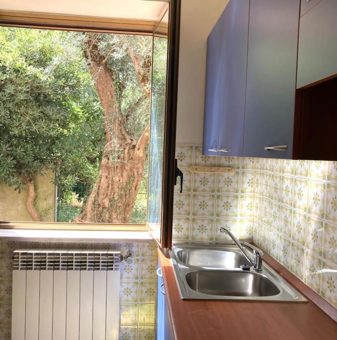 Casa Sisu-Appartamento Immerso Negli Ulivi SantʼElia Fiumerapido Zewnętrze zdjęcie