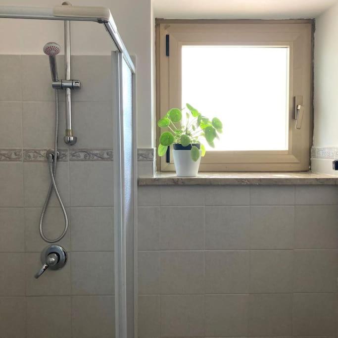Casa Sisu-Appartamento Immerso Negli Ulivi SantʼElia Fiumerapido Zewnętrze zdjęcie