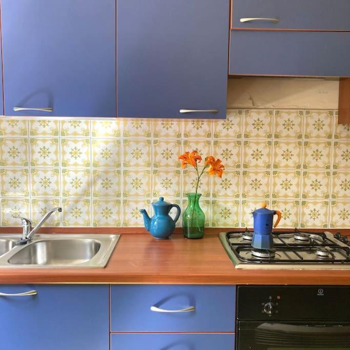 Casa Sisu-Appartamento Immerso Negli Ulivi SantʼElia Fiumerapido Zewnętrze zdjęcie