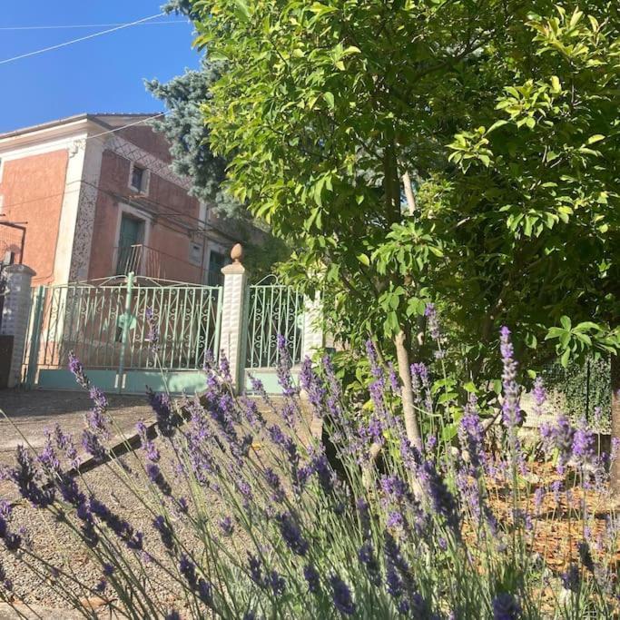 Casa Sisu-Appartamento Immerso Negli Ulivi SantʼElia Fiumerapido Zewnętrze zdjęcie