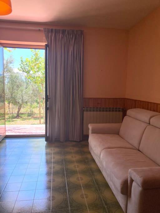 Casa Sisu-Appartamento Immerso Negli Ulivi SantʼElia Fiumerapido Zewnętrze zdjęcie