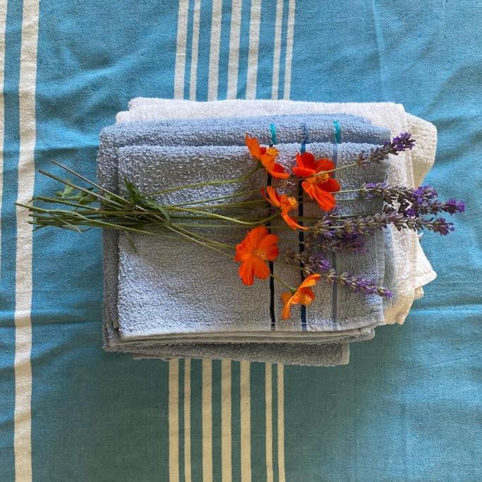 Casa Sisu-Appartamento Immerso Negli Ulivi SantʼElia Fiumerapido Zewnętrze zdjęcie