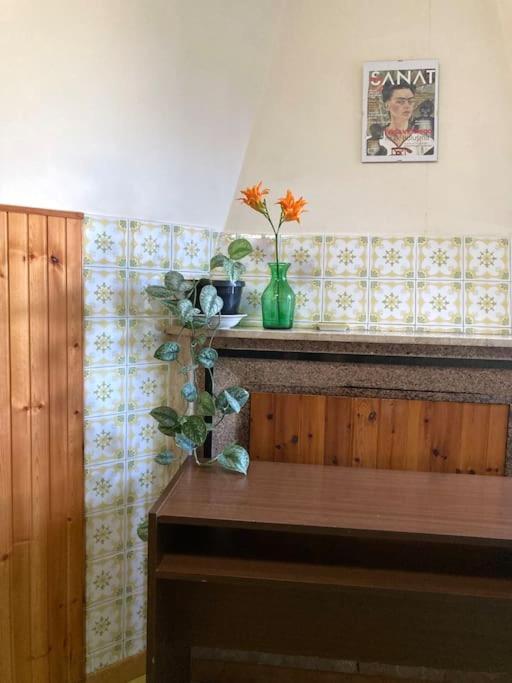 Casa Sisu-Appartamento Immerso Negli Ulivi SantʼElia Fiumerapido Zewnętrze zdjęcie